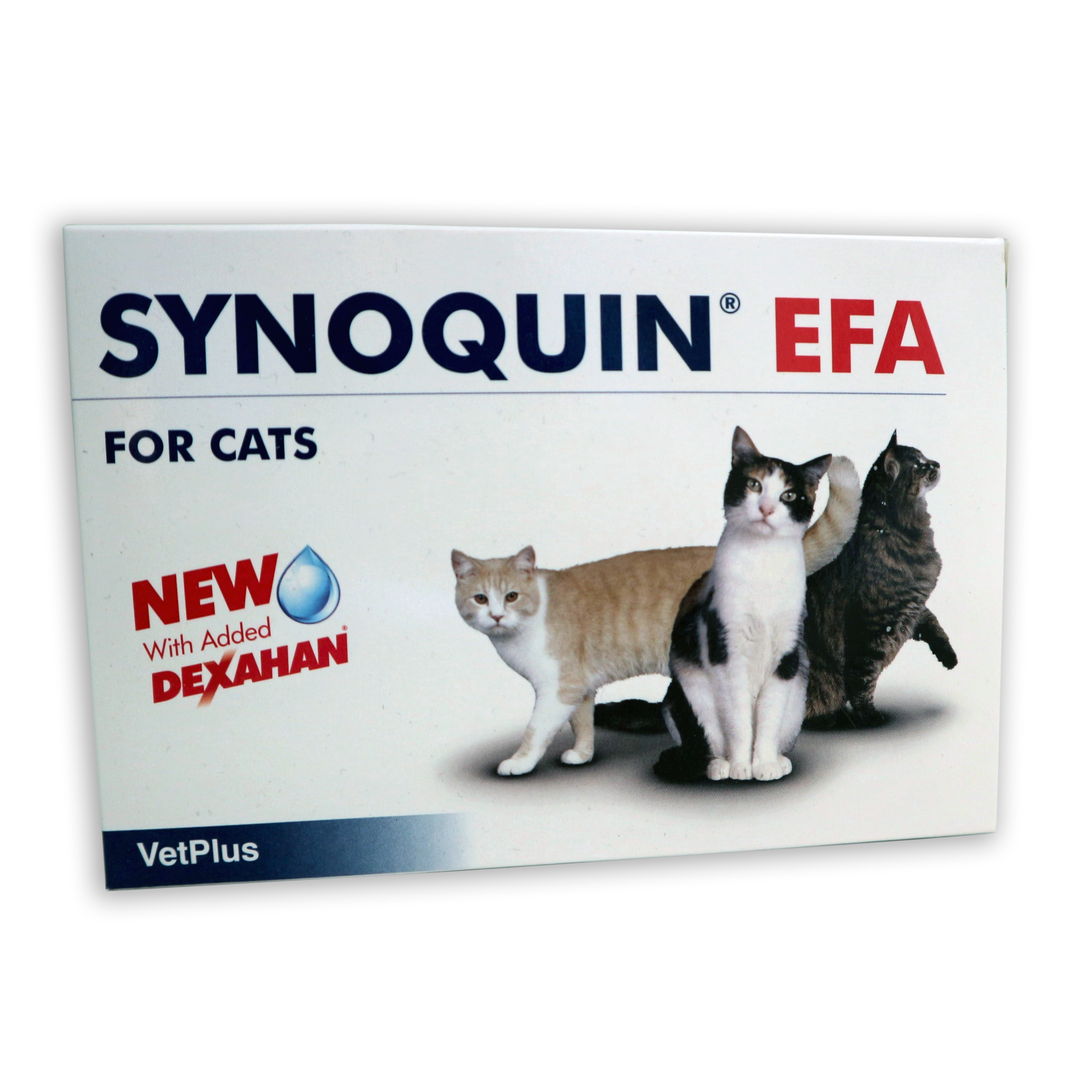 Synoquin 2025 for cats