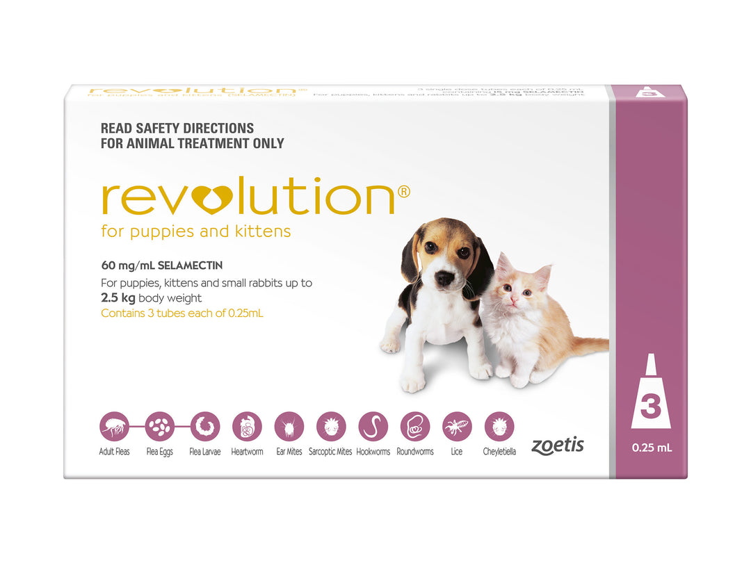 Revolution for Puppies & Kittens