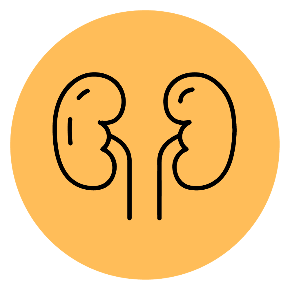Renal Support