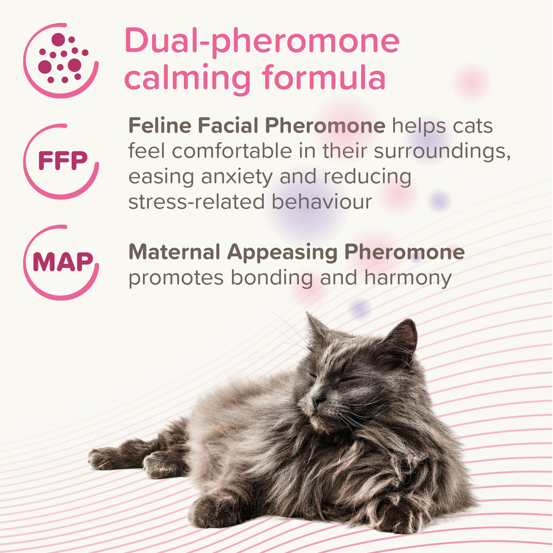 Beaphar CatComfort Diffuser + Refill