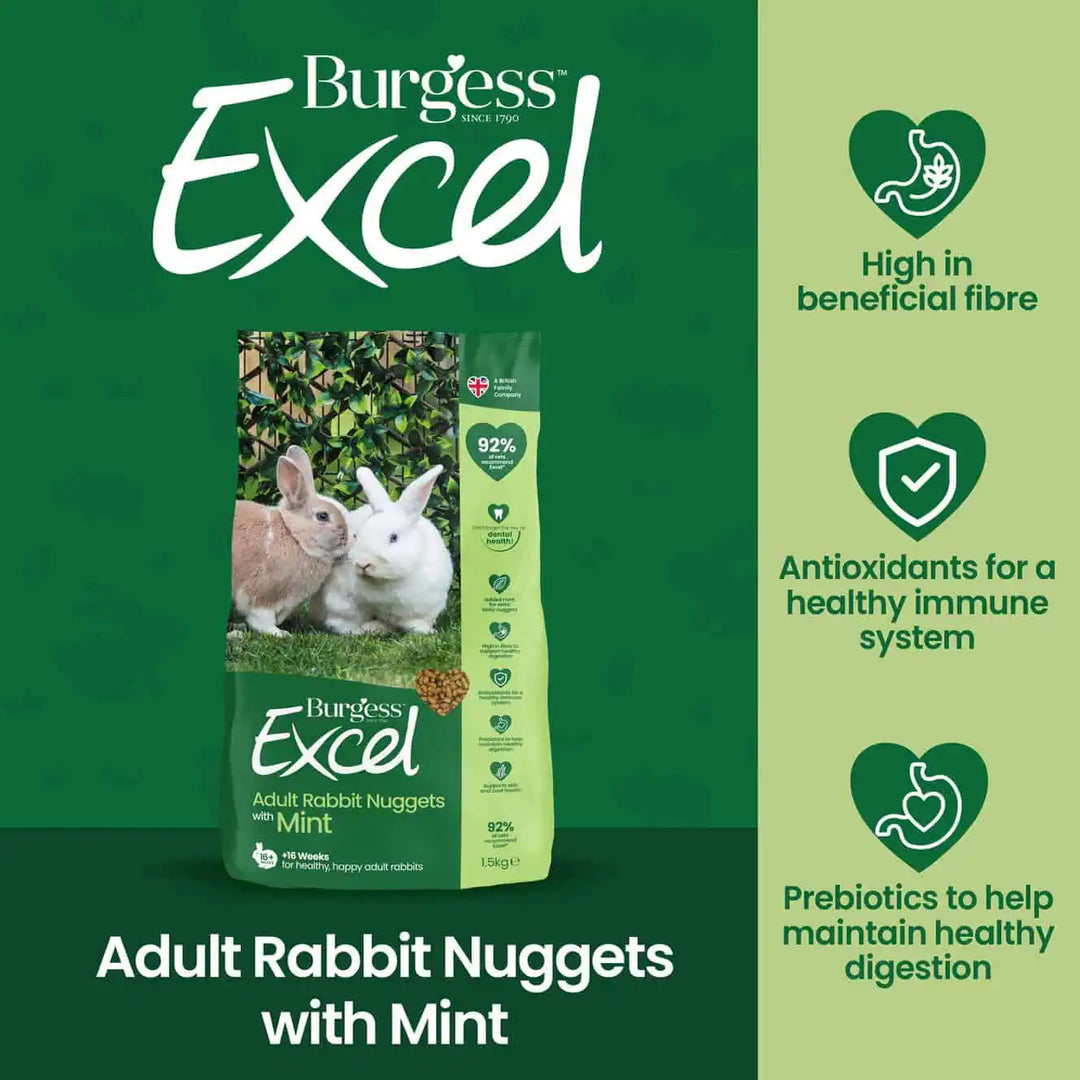 Burgess Excel Adult Rabbit Nuggets with Mint