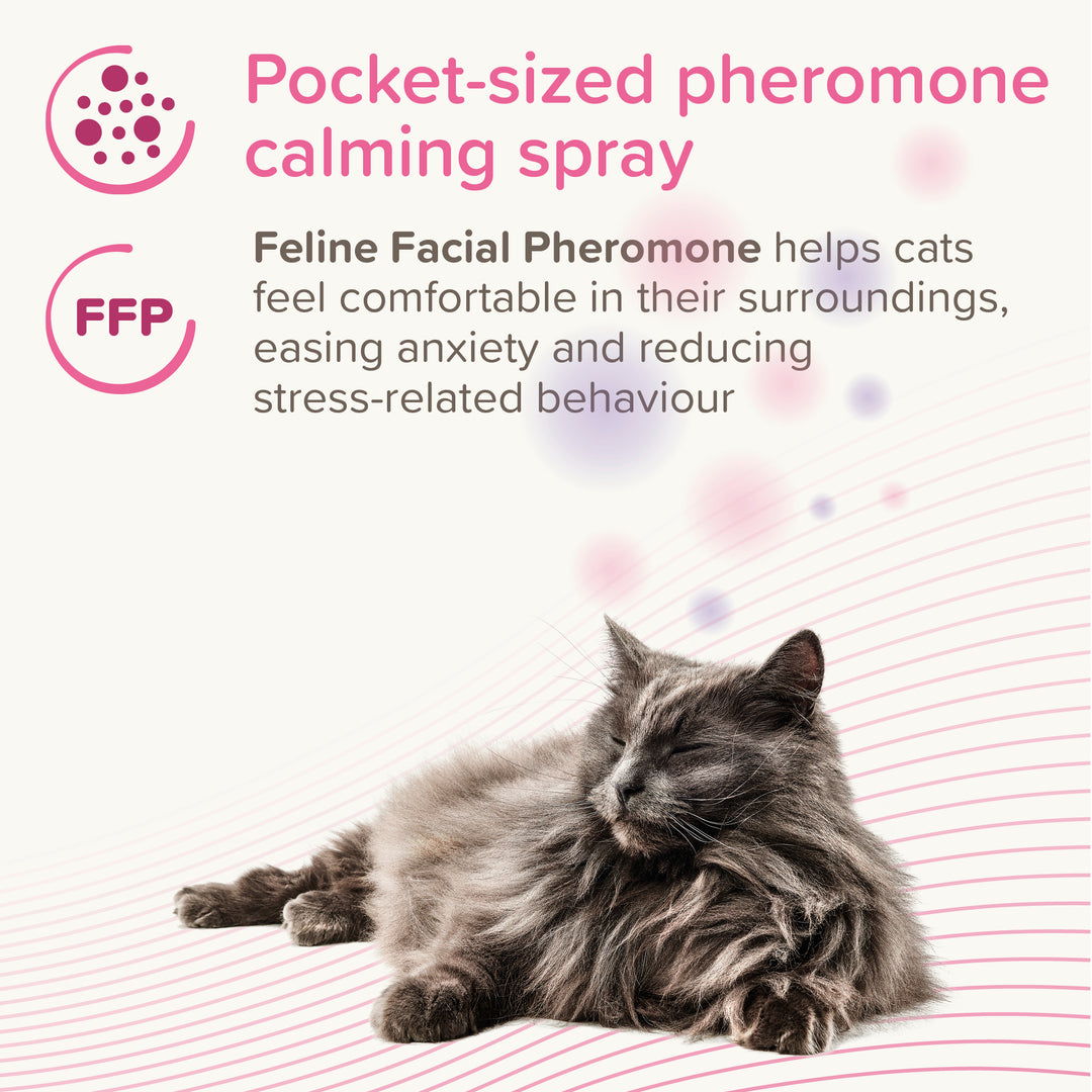 Beaphar CatComfort Calming Spray