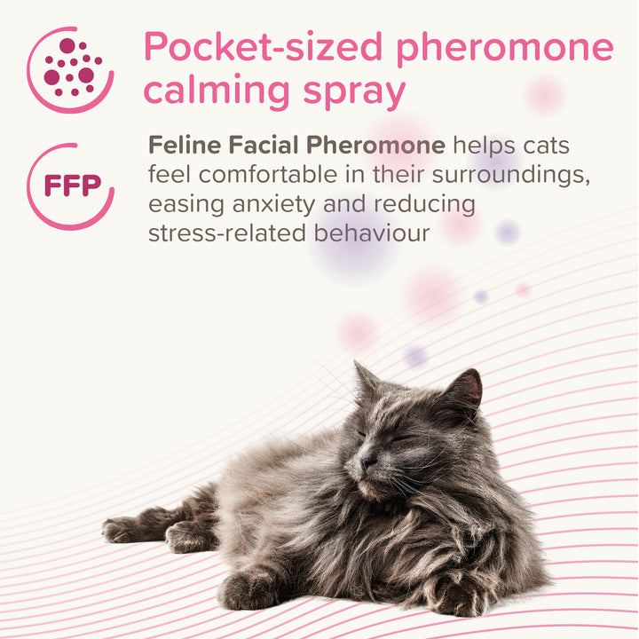 Beaphar CatComfort Calming Spray