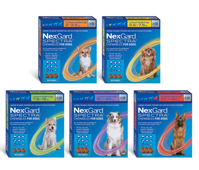 Nexgard Spectra ® Dog