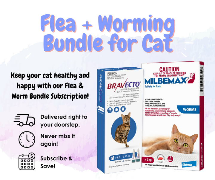 Flea & Worm Treatment - Bundle Subscription for Cat