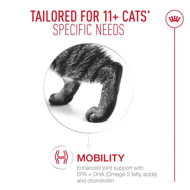 Royal Canin Cat Ageing 11+