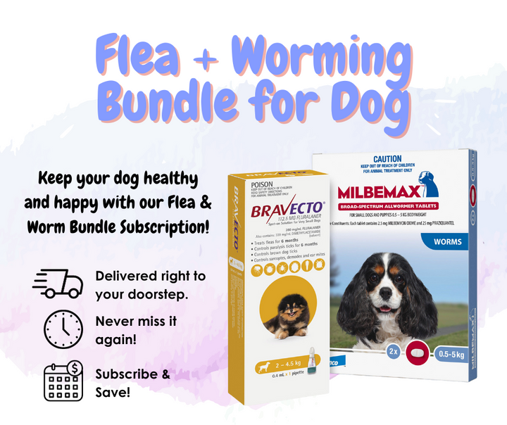 Flea & Worm Treatment - Bundle Subscription for Dog