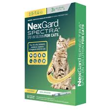 Nexgard Spectra ® Cat