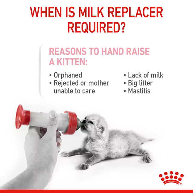 Royal Canin  Babycat Milk