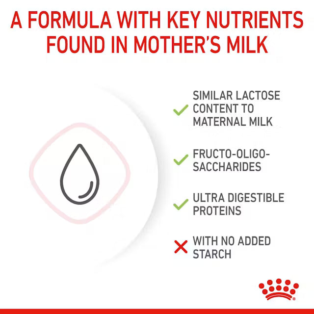 Royal Canin  Babycat Milk