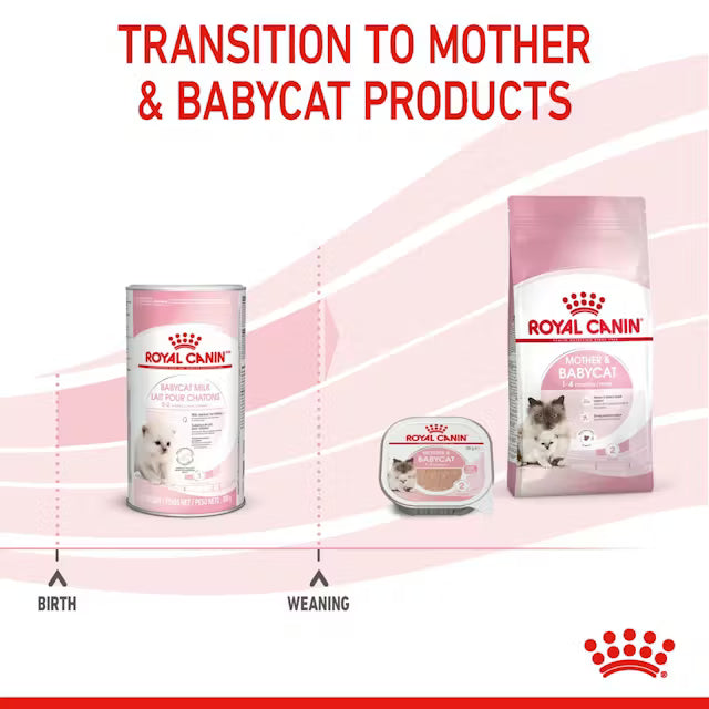 Royal Canin  Babycat Milk