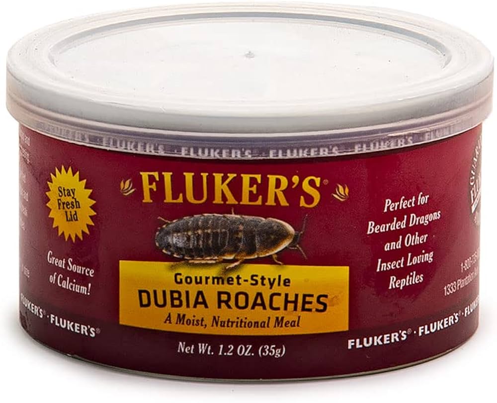 Fluker's Gourmet - Dubia Roaches – At The Vets