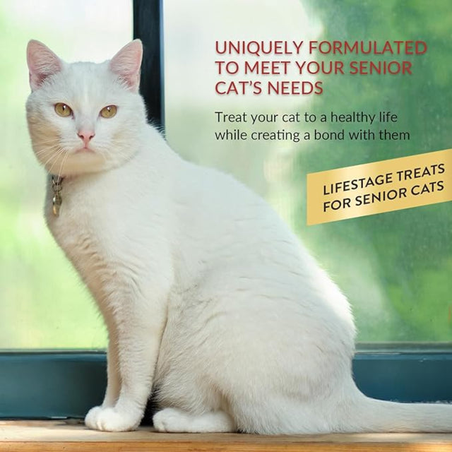 Inaba Churu Senior Cat