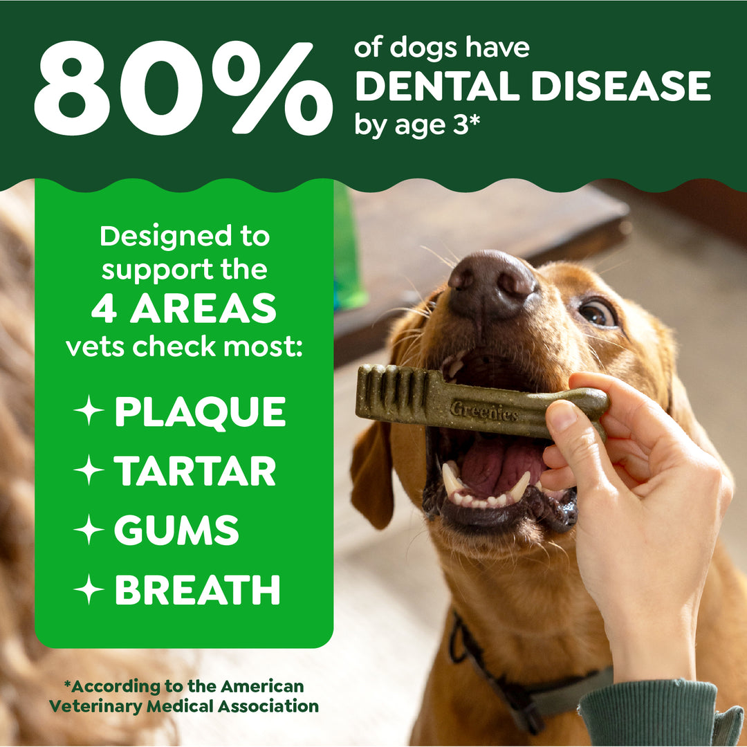 GREENIES™ Dental Treats