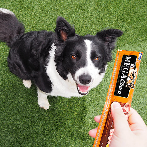 Inaba Mega Churu Chicken & Cheese for Dog