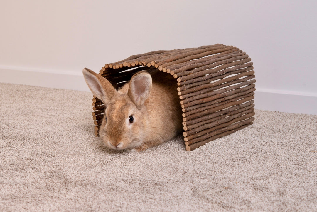 Carrot Cottage - Apple Tunnel