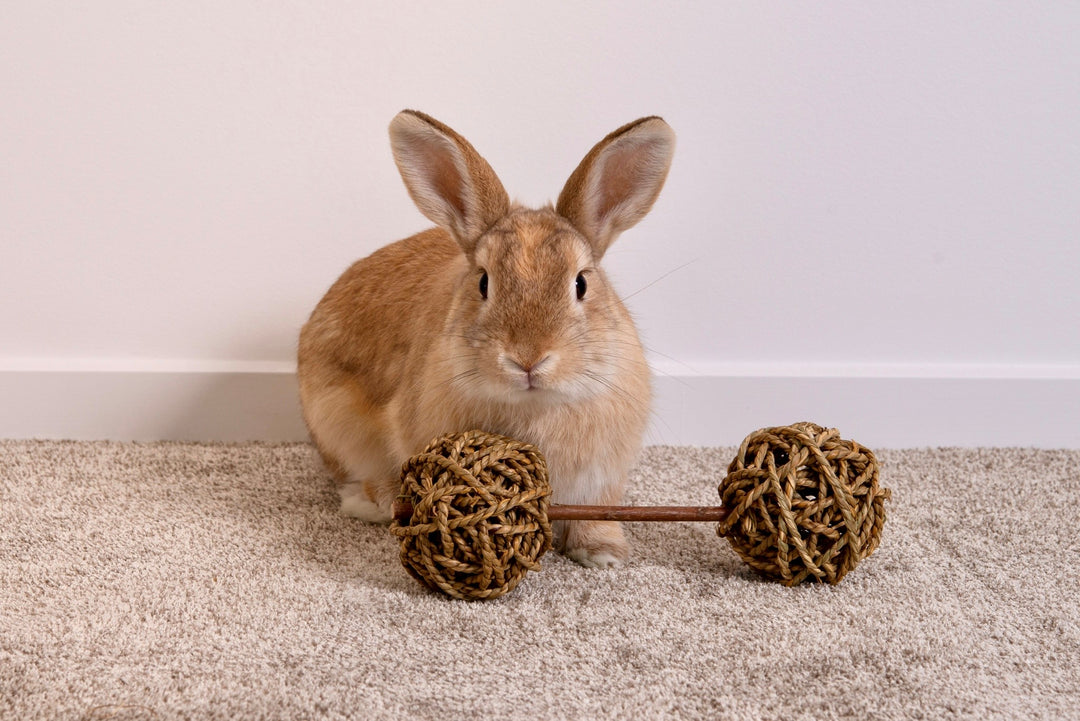 Carrot Cottage - Chew Bells