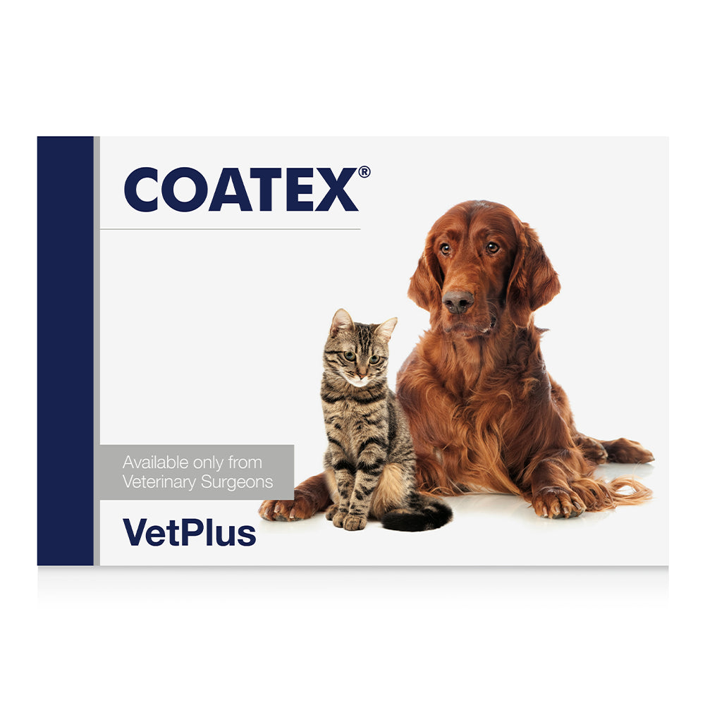Coatex EFA