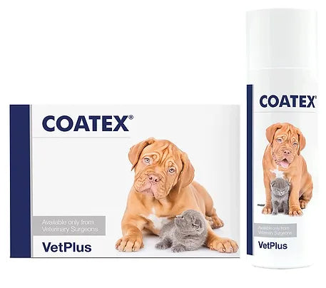 Coatex EFA