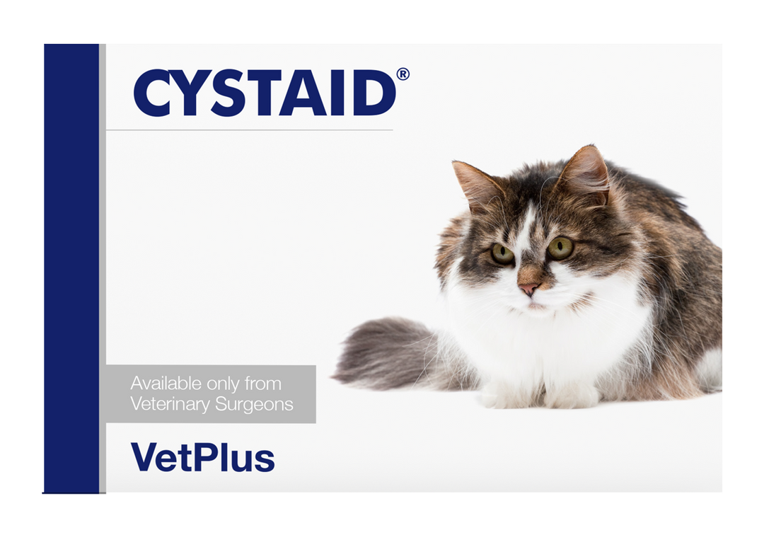 Cystaid Cat
