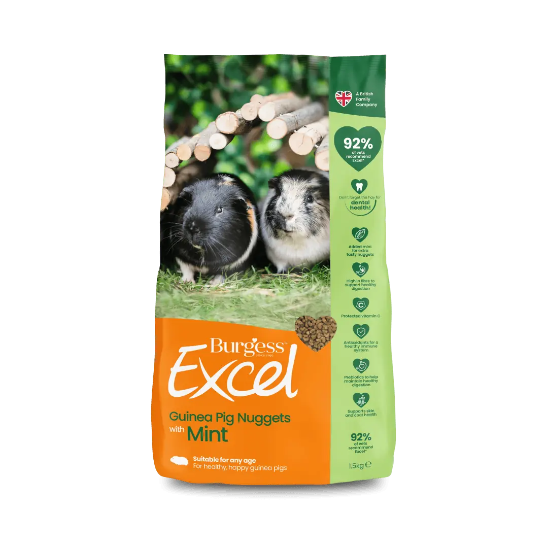 Burgess Excel Adult Guinea Pig Nuggets with Mint