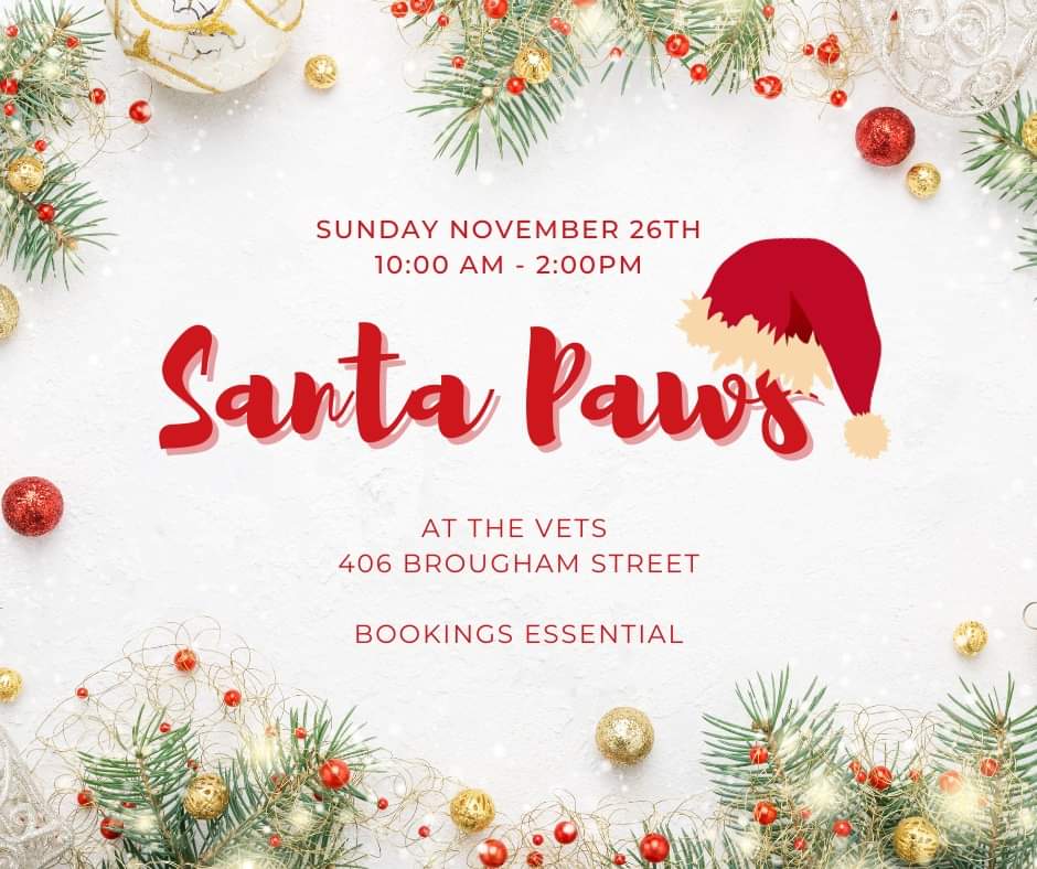 Santa Paws  - Sunday November 26th 2023