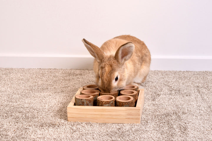 Carrot Cottage - Forage Tray