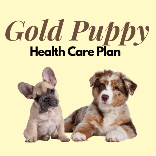 Gold Puppy Healthcare Plan