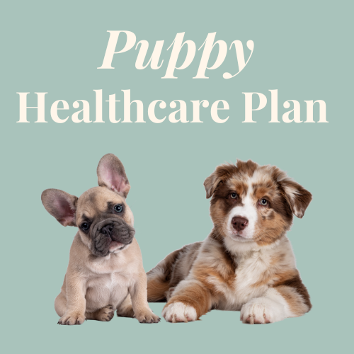 Puppy Healthcare Plan