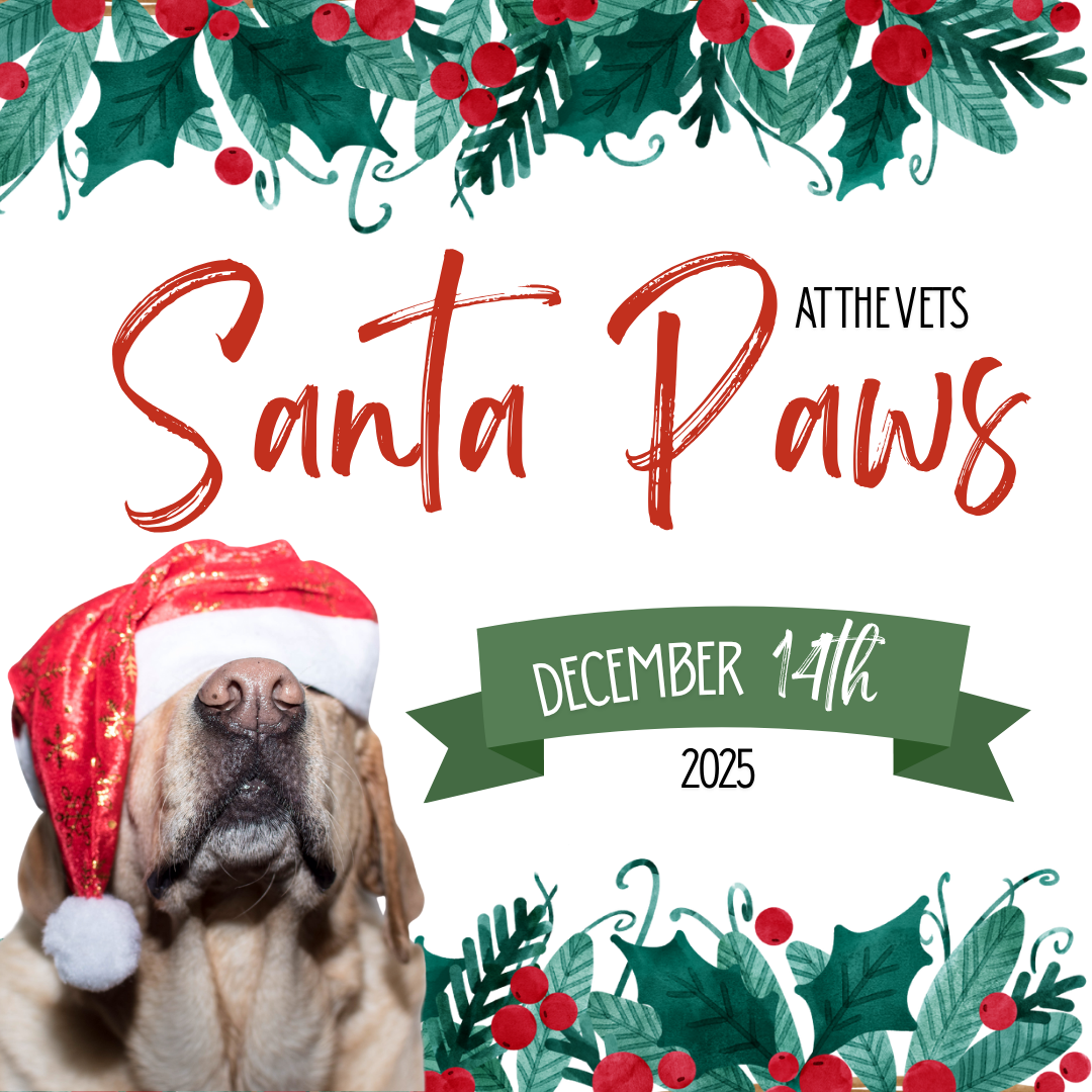 Santa Paws  - Sunday December 14th 2025