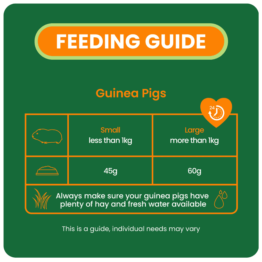 Burgess Excel Adult Guinea Pig Nuggets with Mint