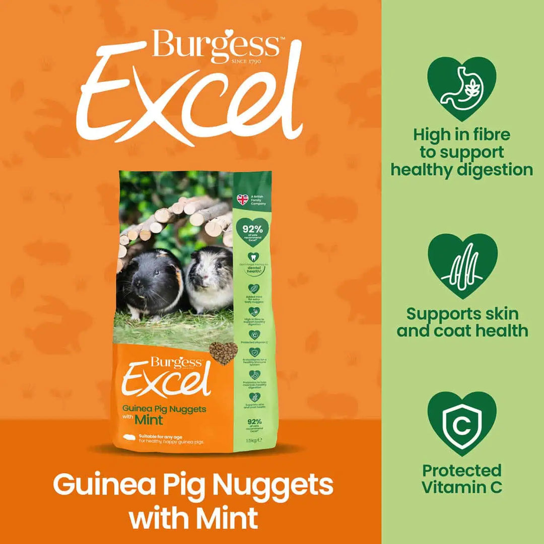 Burgess Excel Adult Guinea Pig Nuggets with Mint