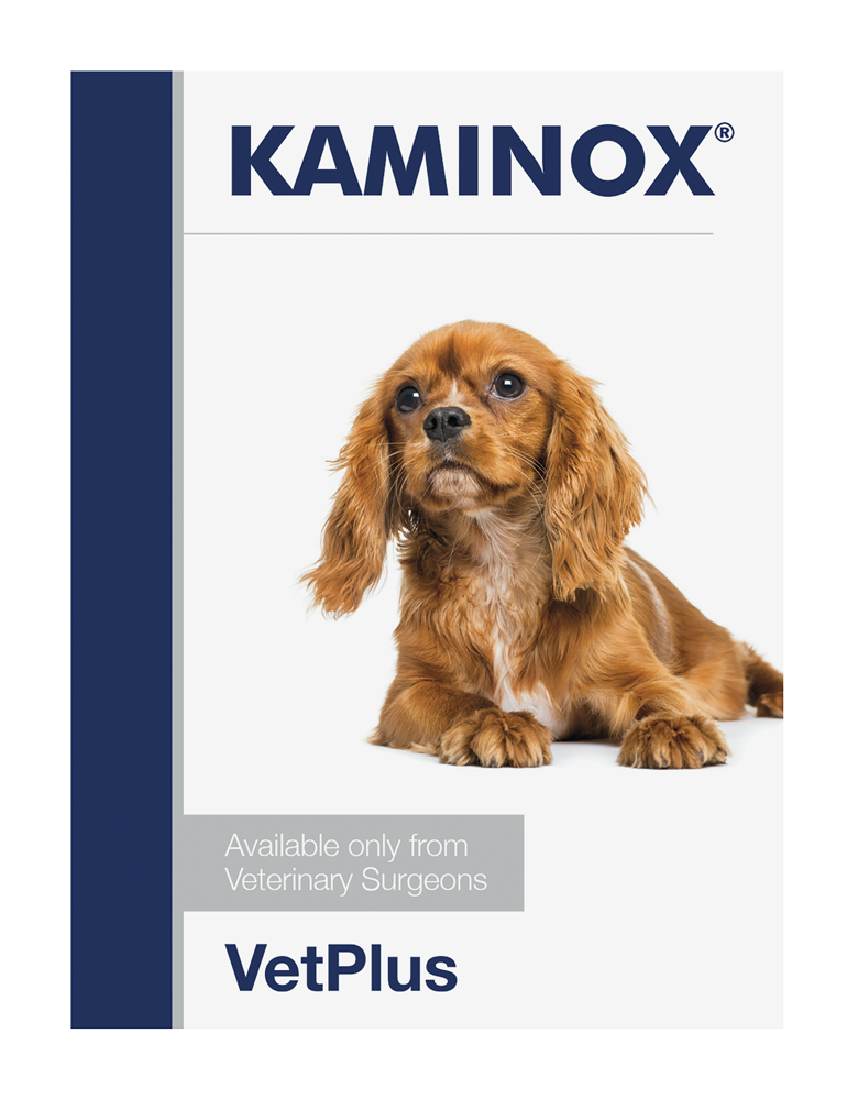 Kaminox Sachets