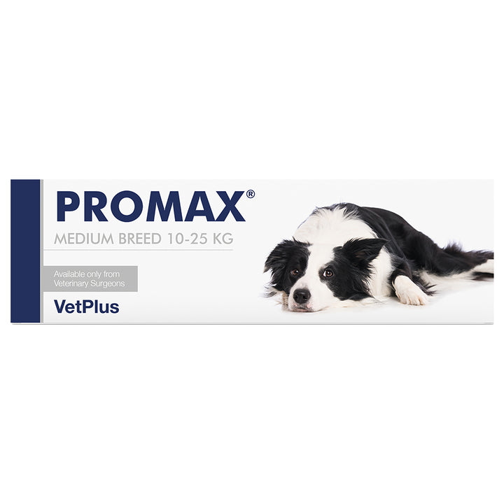 PROMAX Dog Digestive Aid