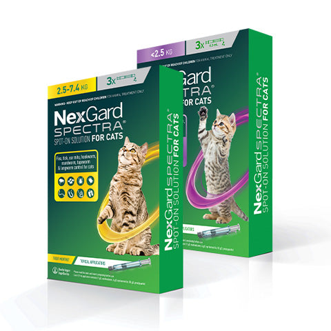 Nexgard Spectra ® Cat