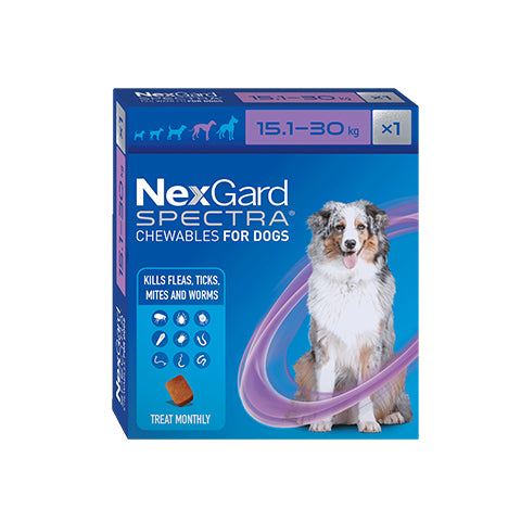 Nexgard Spectra ® Dog