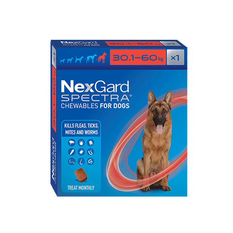 Nexgard Spectra ® Dog