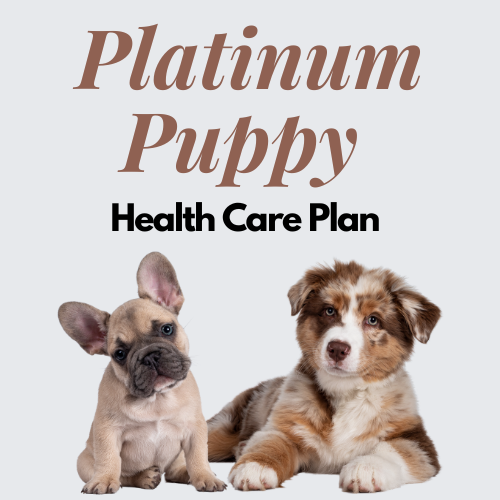 Platinum Puppy  Healthcare Plan