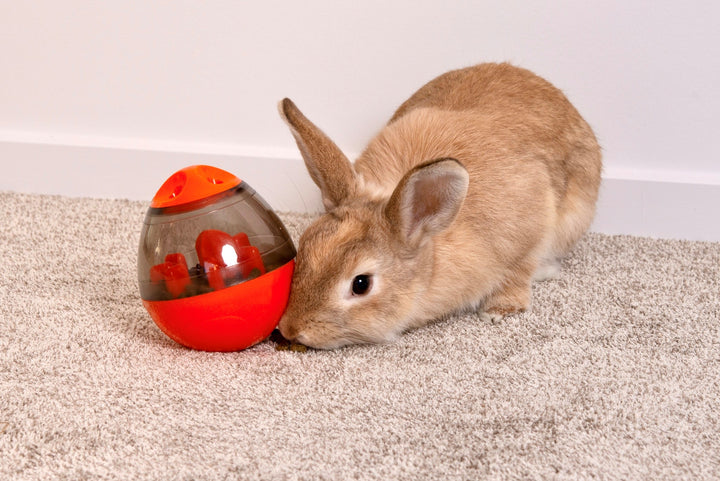 Carrot Cottage - Snack Shaker