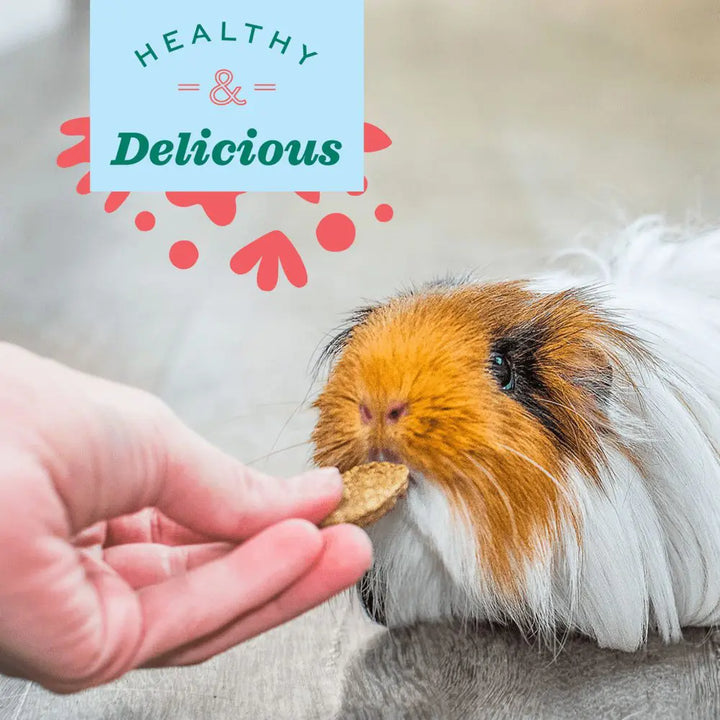 Oxbow Natural Science Skin & Coat Support