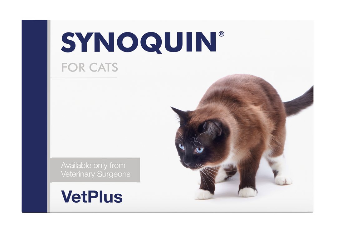 Synoquin for Cats
