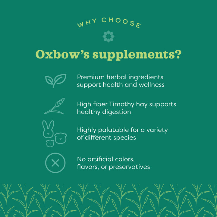 Oxbow Natural Science Skin & Coat Support