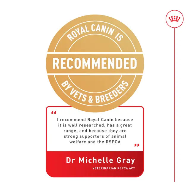 Royal Canin British Shorthair Adult