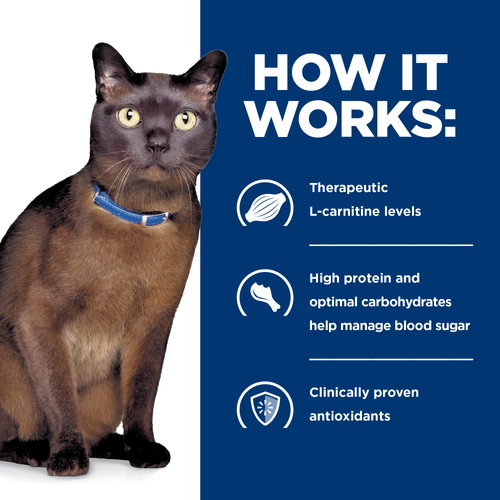 Hills PD Feline m/d