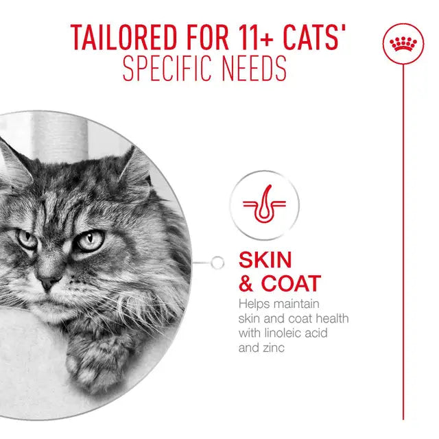Royal Canin Cat Ageing 11+