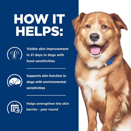 Hills PD Canine Derm Complete