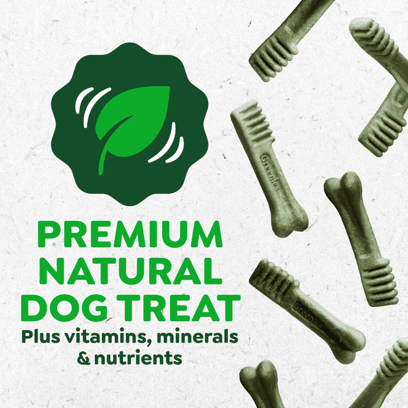 GREENIES™ Dental Treats