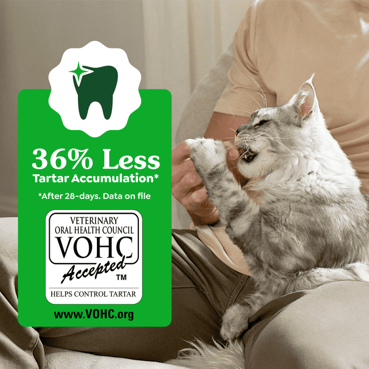 FELINE GREENIES™ Dental Treats