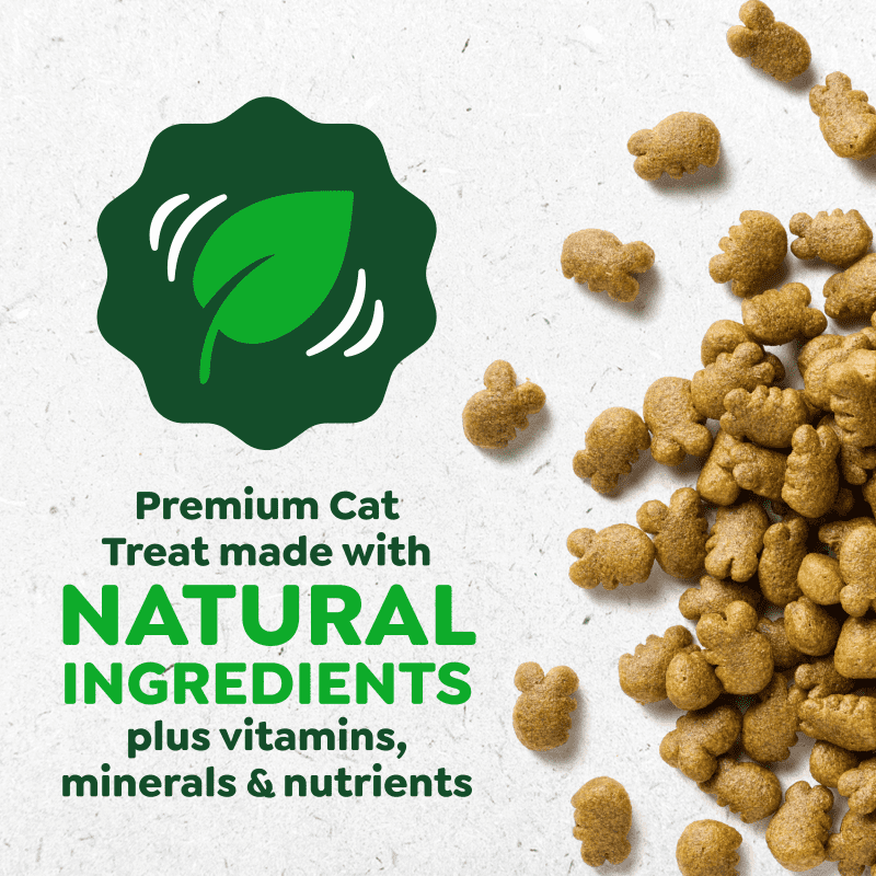 FELINE GREENIES™ Dental Treats
