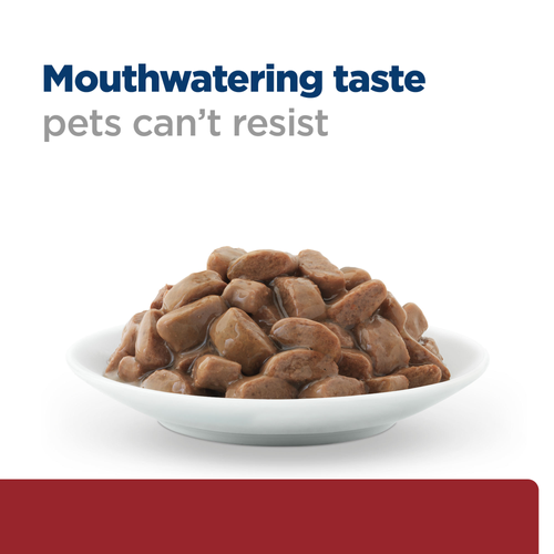 Hills i/d® Feline Pouch